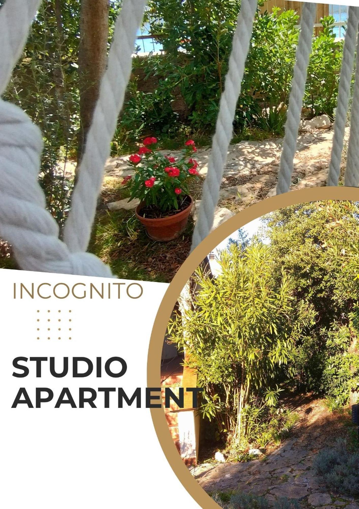 Adria Apartments Sveti Filip i Jakov Luaran gambar