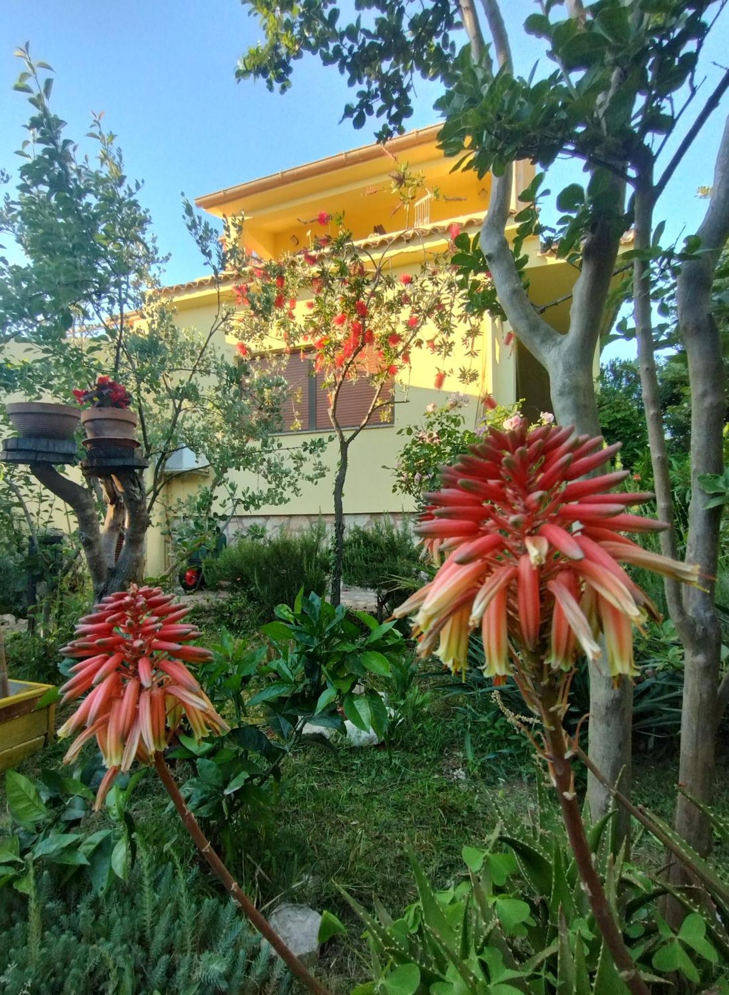 Adria Apartments Sveti Filip i Jakov Luaran gambar